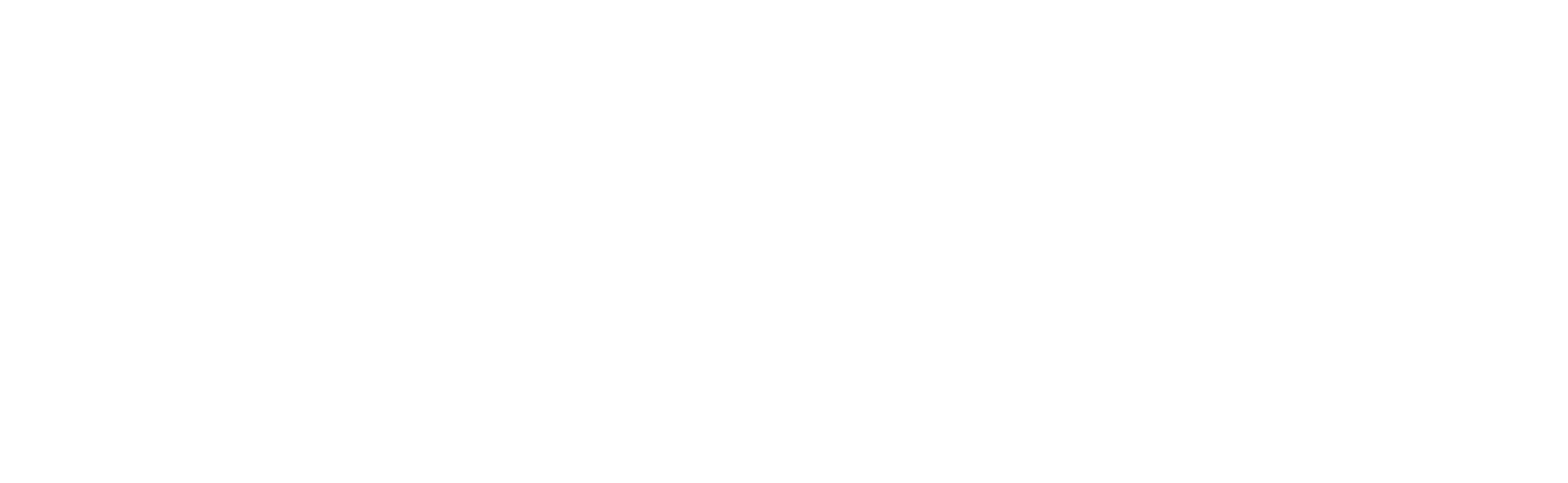 VIA l TECH Logo_white